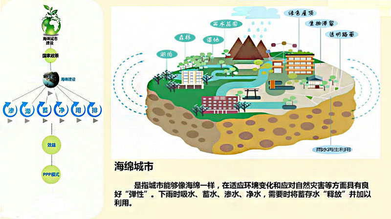 海绵城市排水沟.jpg