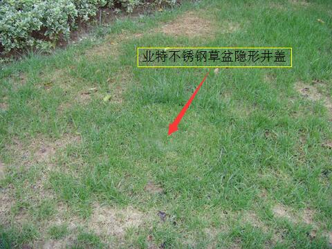 不锈钢草盆井盖案例图.jpg